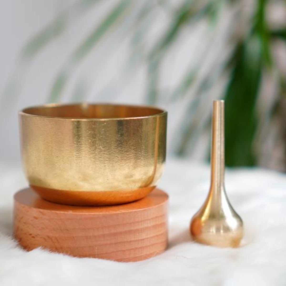 Zen Healing Mini Brass Singing Bowl with Incense Holder & Striker Meditation Yoga Set